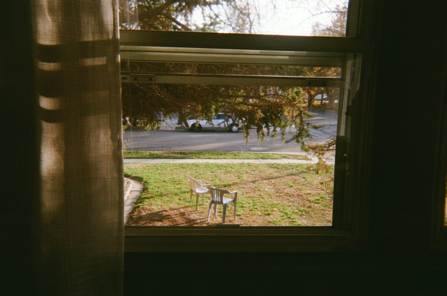 Two empty plastic chairs sit in a sunny suburban yard.